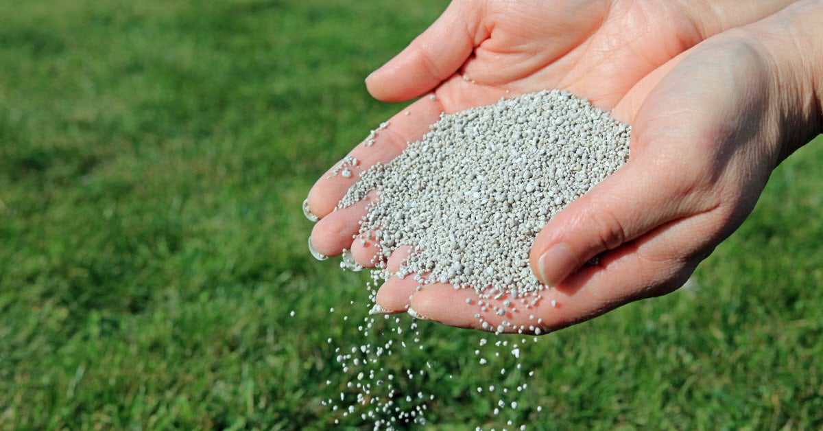 Seker Gubresi Nedir Amonyum Sulfat Gubresi Tarfin